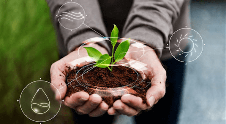 The Role of Technology in Sustainable Agriculture