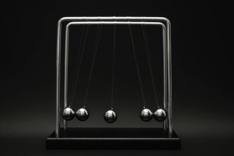 zenith momentum model designation