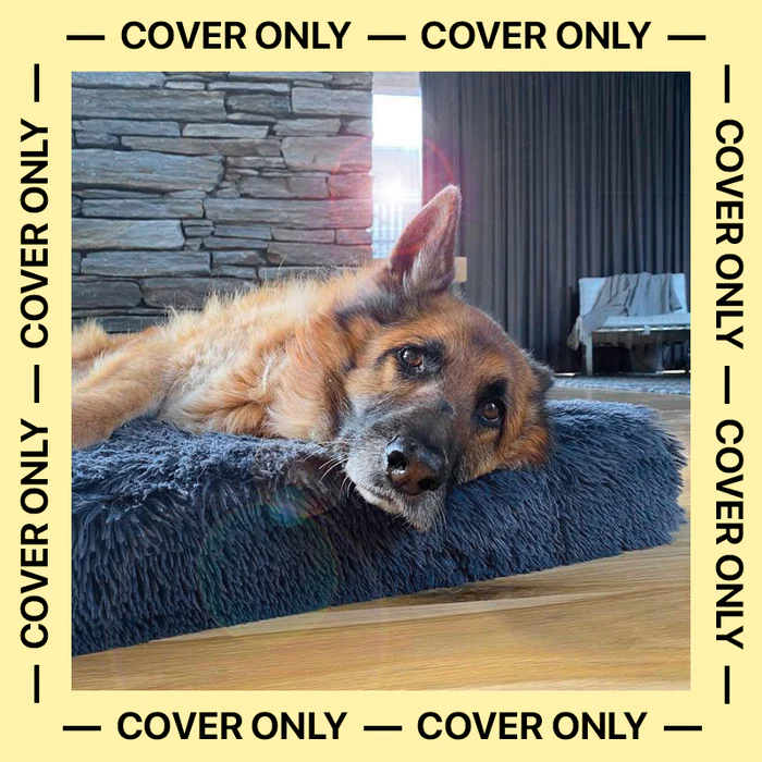 Custom Dog Bed Covers: The Perfect Way to Protect and Personalize Your Pet’s Favorite Spot